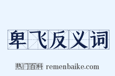 卑飞反义词是什么意思的图片